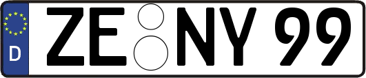 ZE-NY99
