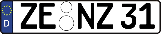 ZE-NZ31