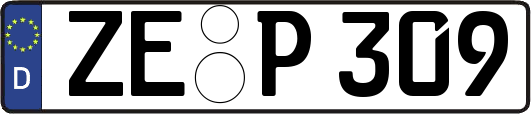 ZE-P309