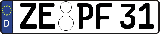 ZE-PF31