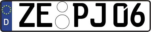 ZE-PJ06