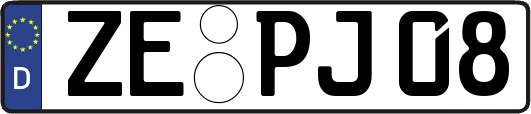 ZE-PJ08