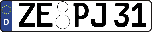 ZE-PJ31