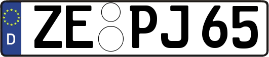 ZE-PJ65