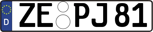 ZE-PJ81