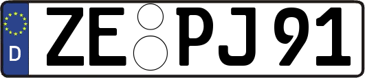 ZE-PJ91