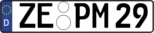 ZE-PM29