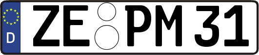 ZE-PM31