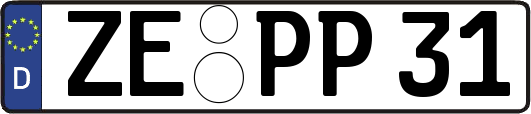 ZE-PP31