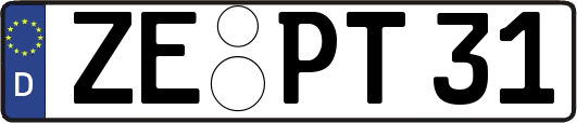ZE-PT31