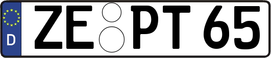 ZE-PT65
