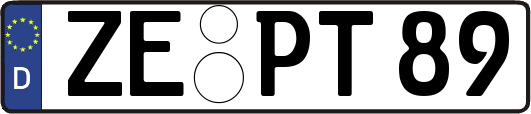 ZE-PT89