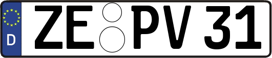 ZE-PV31