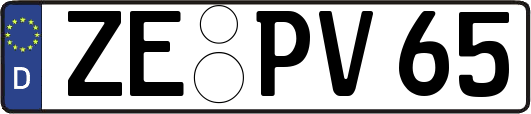 ZE-PV65