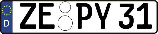 ZE-PY31