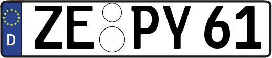 ZE-PY61