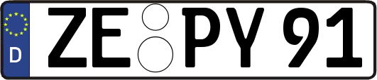 ZE-PY91