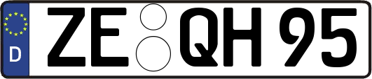 ZE-QH95