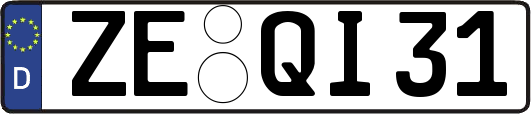 ZE-QI31