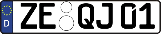 ZE-QJ01