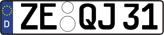 ZE-QJ31