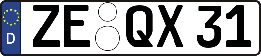 ZE-QX31