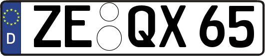 ZE-QX65