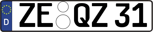 ZE-QZ31
