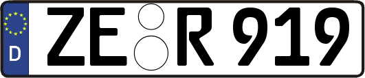 ZE-R919