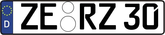 ZE-RZ30