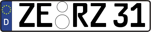 ZE-RZ31