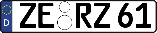 ZE-RZ61