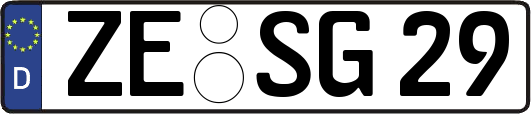 ZE-SG29