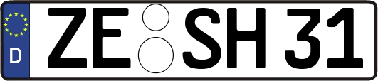 ZE-SH31