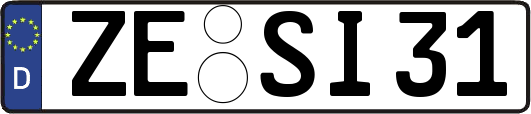 ZE-SI31