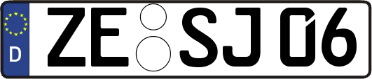 ZE-SJ06
