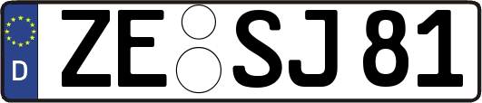 ZE-SJ81