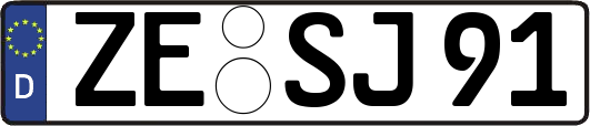 ZE-SJ91
