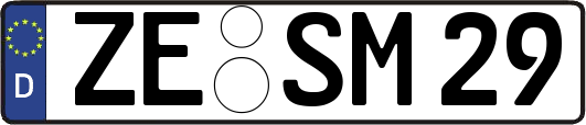 ZE-SM29