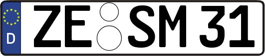 ZE-SM31