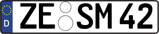 ZE-SM42