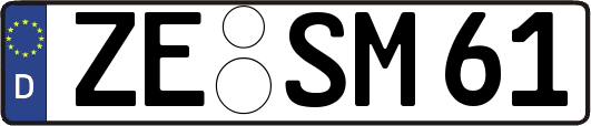 ZE-SM61