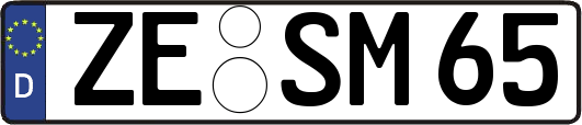 ZE-SM65