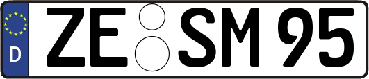 ZE-SM95