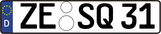 ZE-SQ31