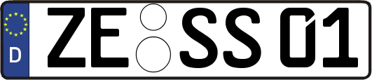 ZE-SS01
