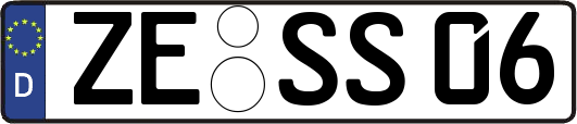 ZE-SS06