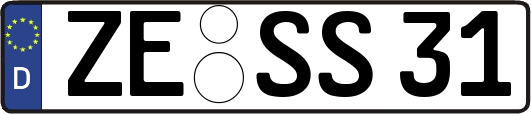 ZE-SS31