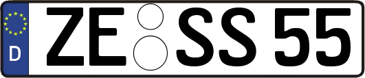 ZE-SS55
