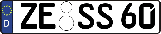 ZE-SS60